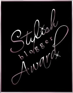 121610_1625_stylishblog1