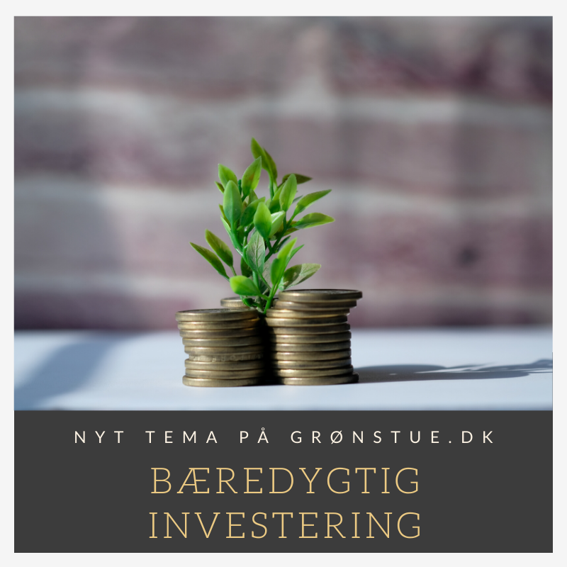 Bæredygtig Investering