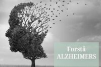 Forstå Alzheimers